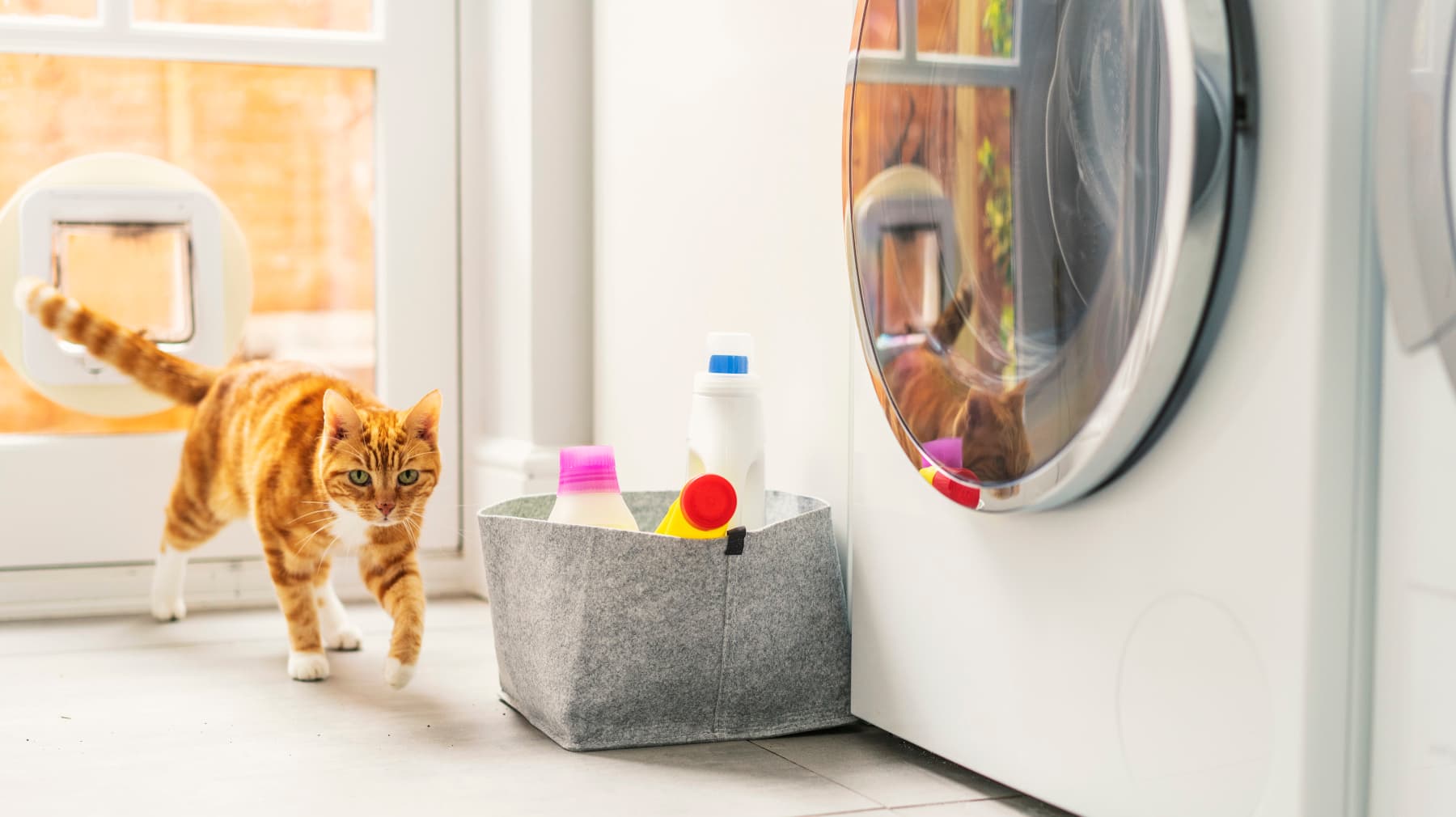 Sut i ailgylchu gartref – dechrau arni