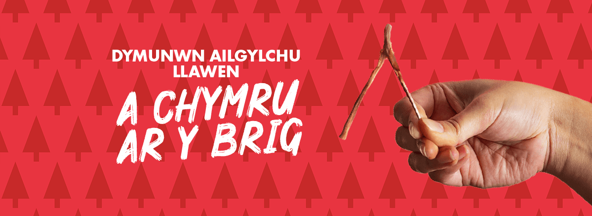 Perffeithio ailgylchu dros y Nadolig: beth am i ni wneud i Gymru ddisgleirio mewn ailgylchu byd-eang!