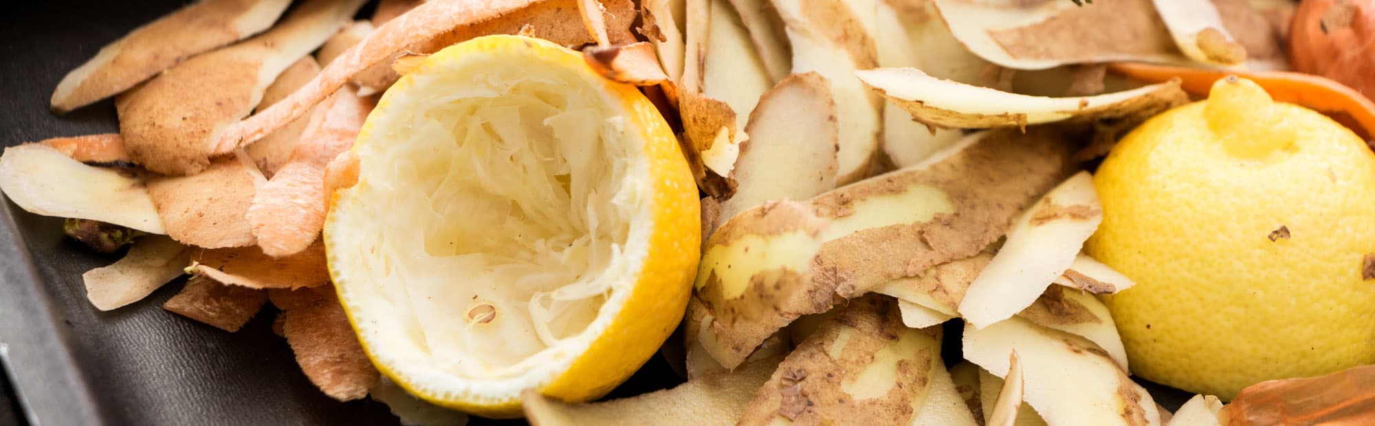 How to recycle food waste